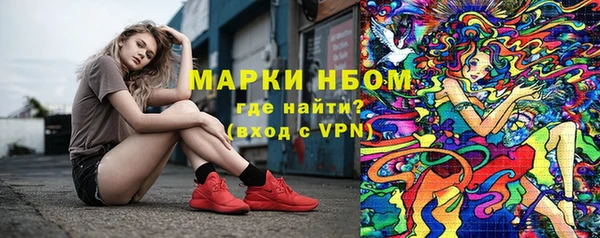 мдпв Бородино