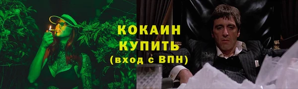 крисы Бугульма