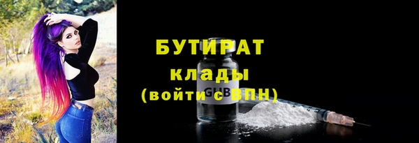 мдпв Бородино