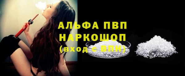 мдпв Бородино