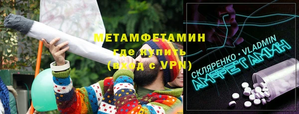индика Богородицк