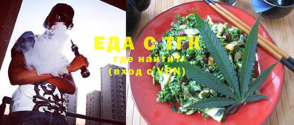 мдпв Бородино