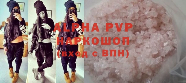 мдпв Бородино