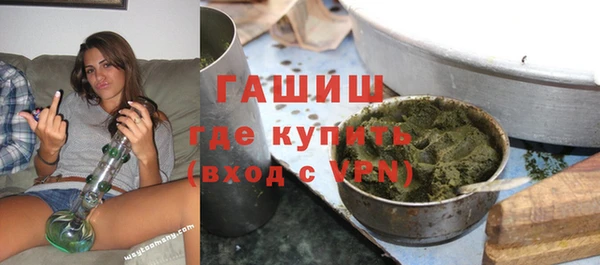 мдпв Бородино
