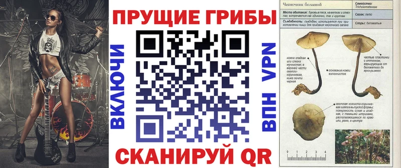продажа наркотиков  мориарти наркотические препараты  ссылка на мегу ONION  Псилоцибиновые грибы MAGIC MUSHROOMS  Киселёвск 